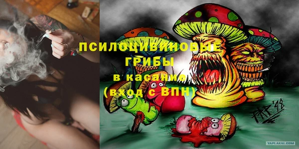 герыч Бородино