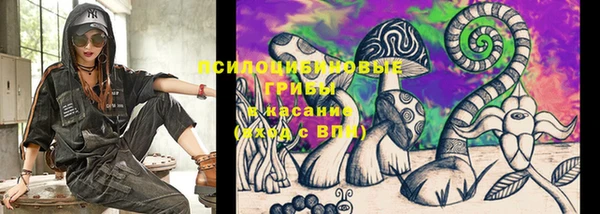 герыч Бородино